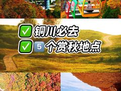 -玉华宫景区