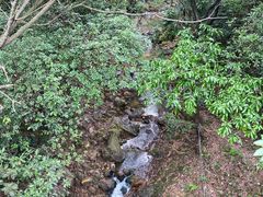 -南海湾森林生态园
