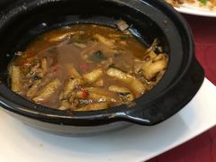 -吴祥记潮州菜·百年老字号·砂锅粥
