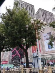-西克造型美发连锁