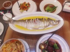 -鲁宴·鲁煨黄河生态大鲤鱼(月坛店)