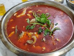 -重庆特色冷锅鱼(武大店)