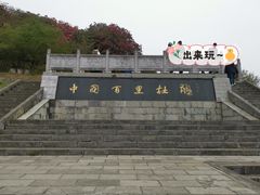 -贵州百里杜鹃风景名胜区