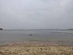 -仙人岛风景区