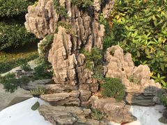 -南山植物园