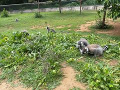 -秦皇岛野生动物园