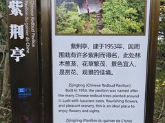 -庐山风景区花径公园