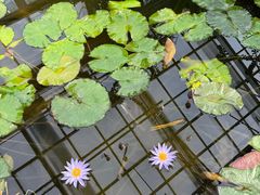 -国家植物园南园