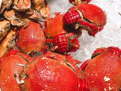 -安蒂娅·海鲜自助餐厅(安蒂娅美兰酒店)