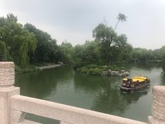 -梧桐餐厅(泉城路店)