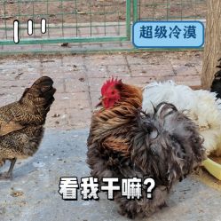 -塔元庄景区