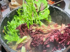 -芸山季·云南山珍菌火锅(人民广场来福士店)