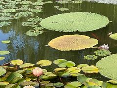 -国家植物园南园