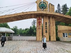 -五营红松林海景区