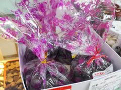 -百年义利(东直门店)