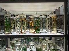 -北京中医药大学-中医药博物馆