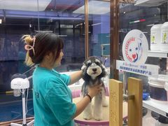 -FAELING PETS美天灵宠物(富力广场店)