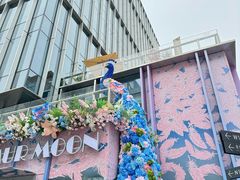 -蜩动儿童运动成长馆(恒生万鹂广场店)