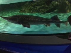 -常州海昌海洋探索馆