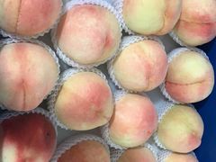 -老袁家蜜桃农场·阳山水蜜桃