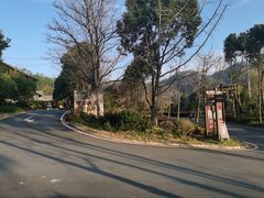 -黄陂区野村谷景区