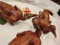 -顺德喜来登酒店·采悦轩