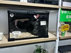 -骑鹅公社(南开大悦城店)