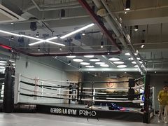 -花环泰拳·勒德斯拉泰拳馆(静安店)