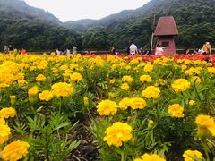 -广州市石门国家森林公园