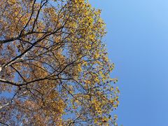 -中国美术学院-美术馆