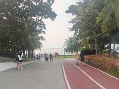 -西秀海滩公园
