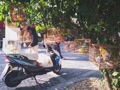 -东水关遗址公园