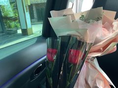 -弘馆·镜湖印象