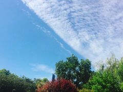 -九里河湿地公园