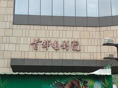 -首都电影院(天津店 中国巨幕)
