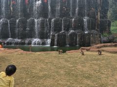 -海南热带野生动植物园