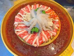 -小牛哈尼章鱼水煎肉(金鹰店)