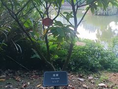 -厦门悦华酒店