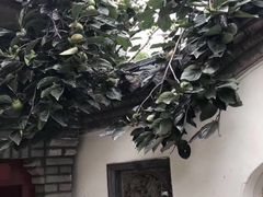 -老张烤羊(王哥庄店)