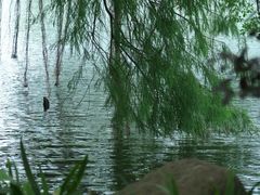 -燕晗山郊野公园