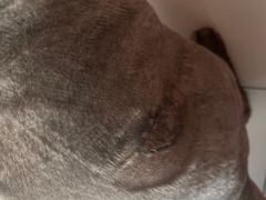 -乐宠宠物店(世纪金源店)