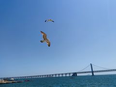-星海广场