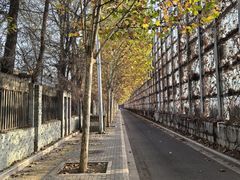 -日昌餐馆(亦庄店)