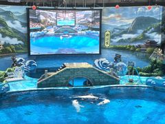 -海合安成都极地海洋公园