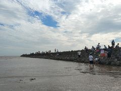 -南汇嘴观海公园