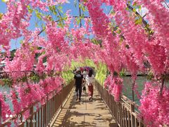 -野三坡刘家河高山漂流