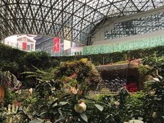 -花之城