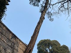 -青岛崂山太清宫