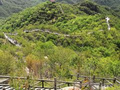 -大岭沟猕猴桃谷风景区