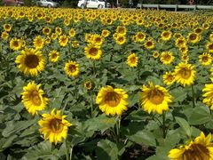 2013-09-06-524-百里山水画廊乌龙峡谷